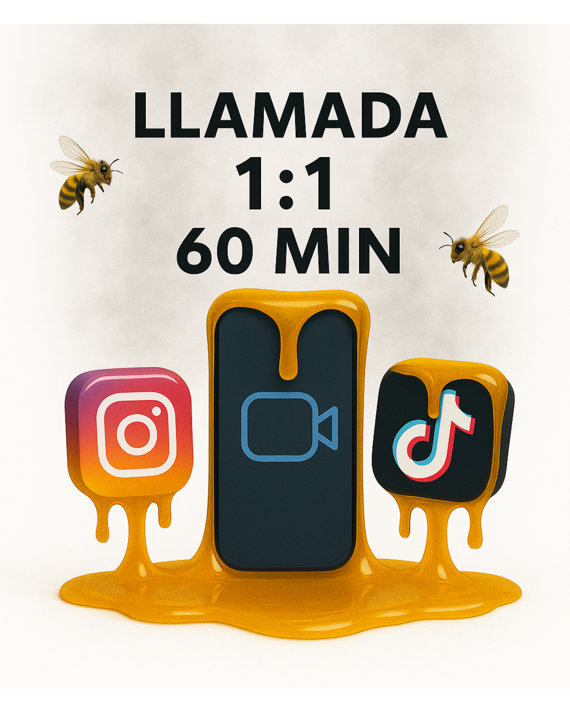 GUIA PREMIUM - LLAMADA 1:1 + 30 DIAS ASESORIA PERSONAL